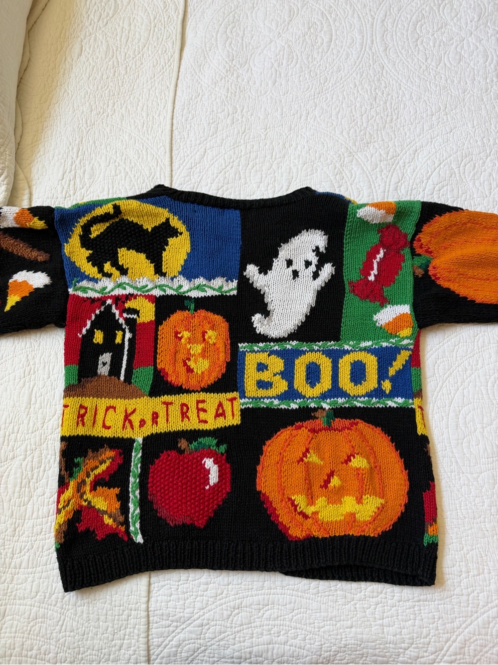The Eagles Eye hand knit Halloween Fall Cardigan Sweater - Picture 4 of 8